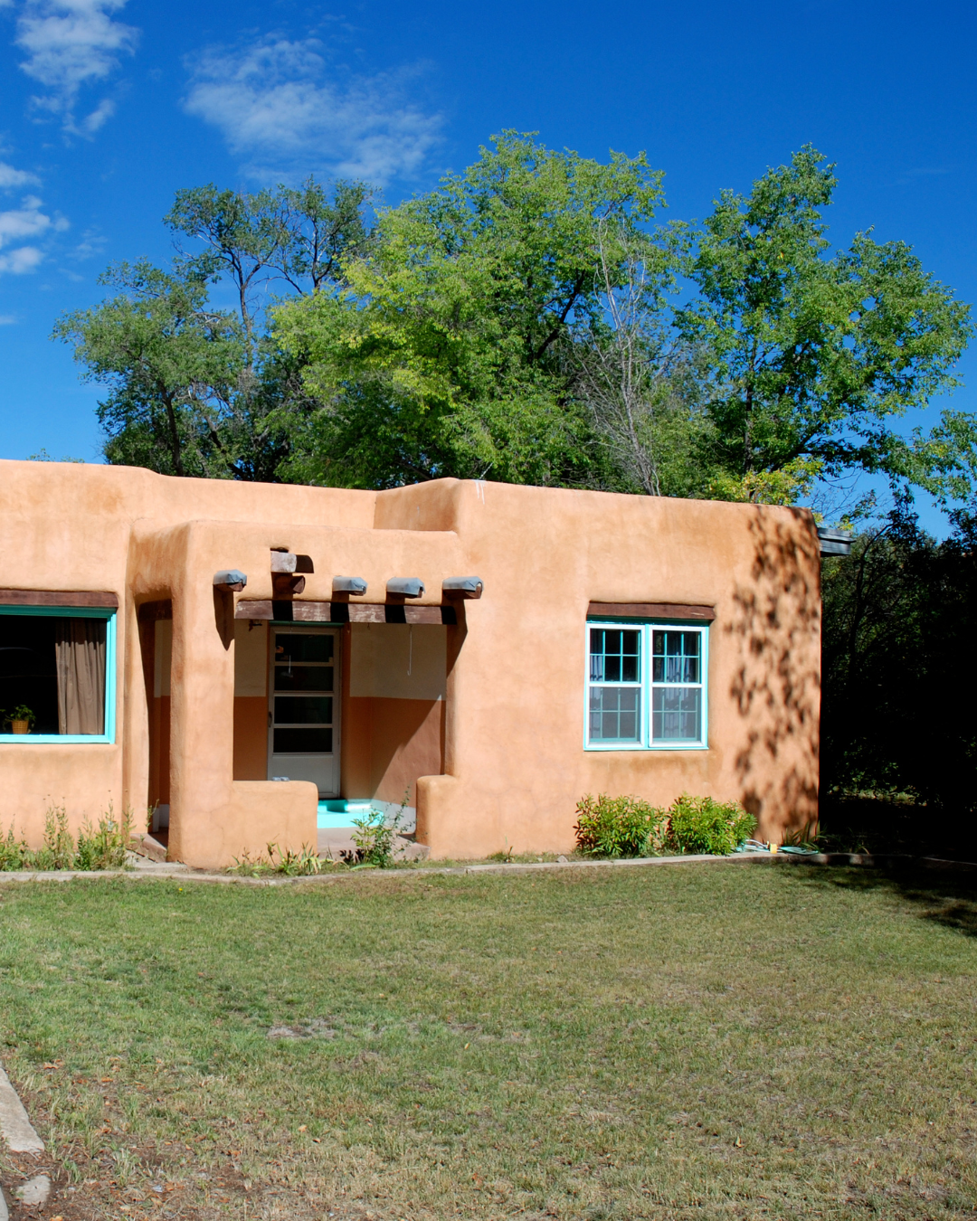 Just Poop Scooping - Photo 2