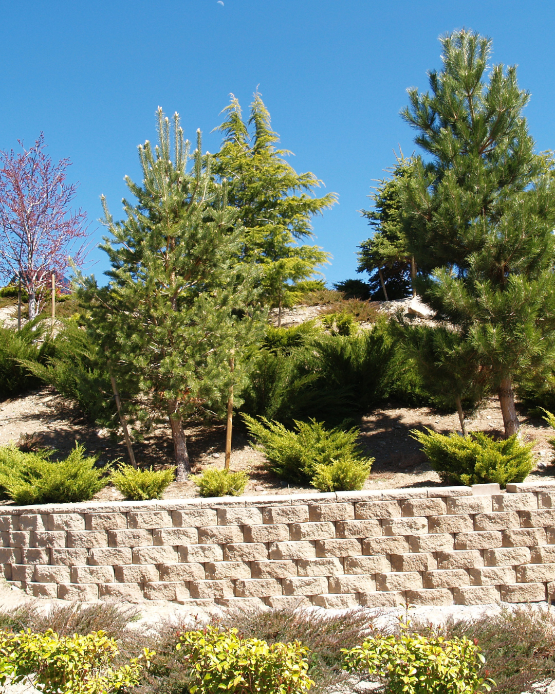 Just Poop Scooping - Photo 3