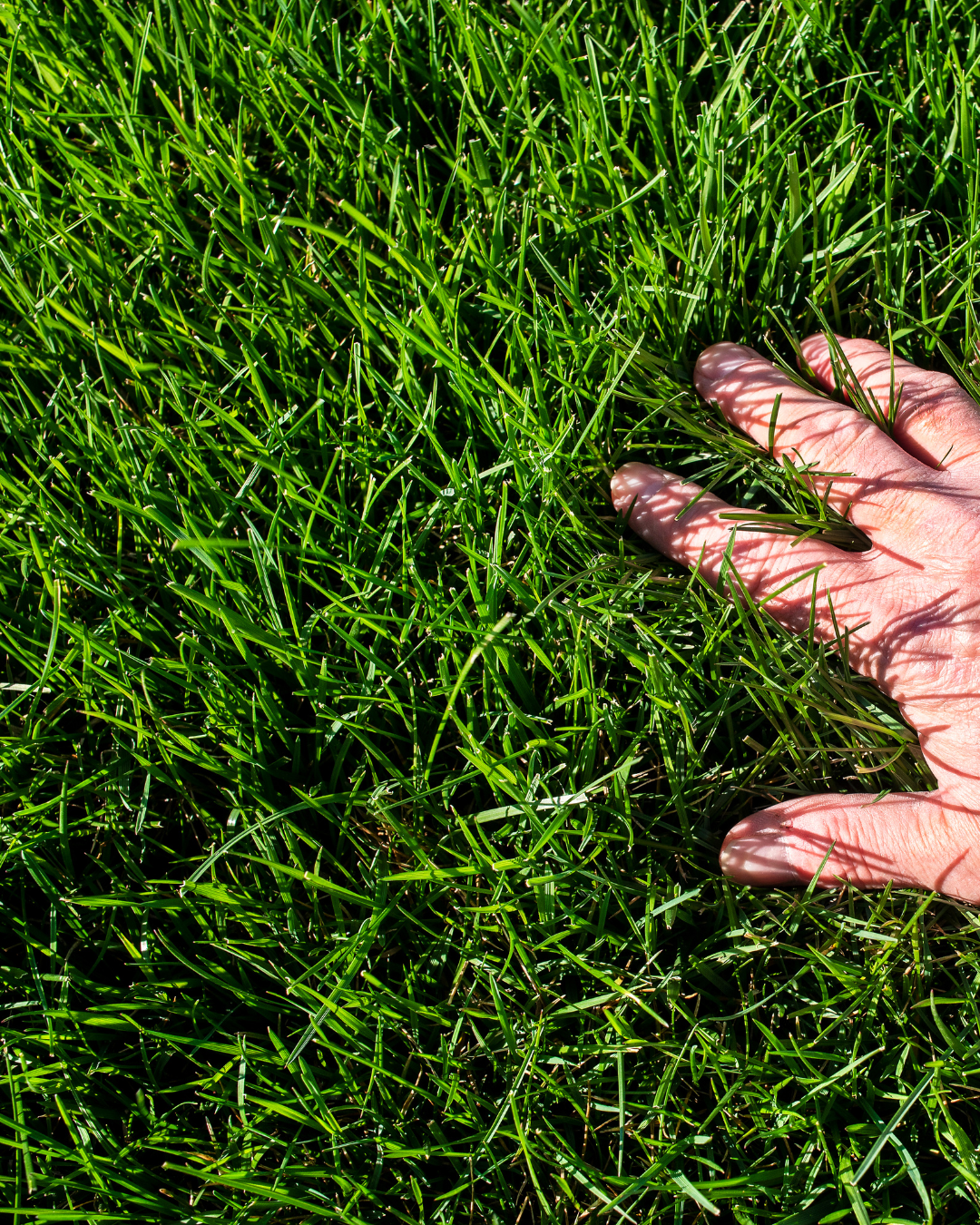 Just Poop Scooping - Photo 4