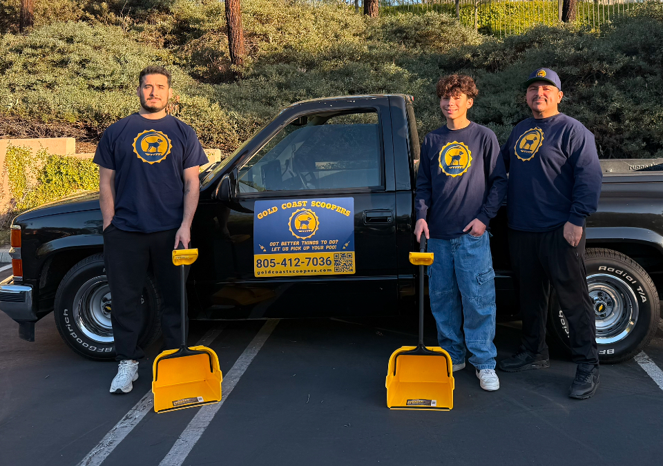 Gold Coast Scoopers - Photo 2