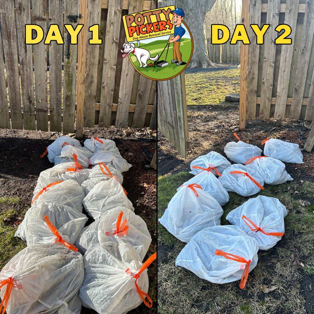 Potty Pickers - Dog Waste Removal Service - Photo 3