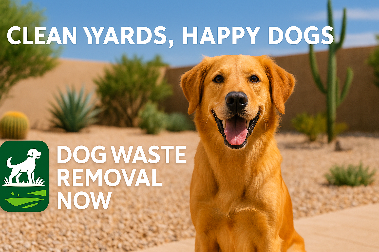 Dog Waste Removal Now