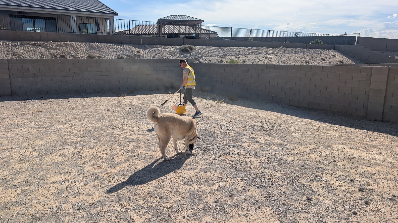 Dog Waste Removal Now - Photo 2