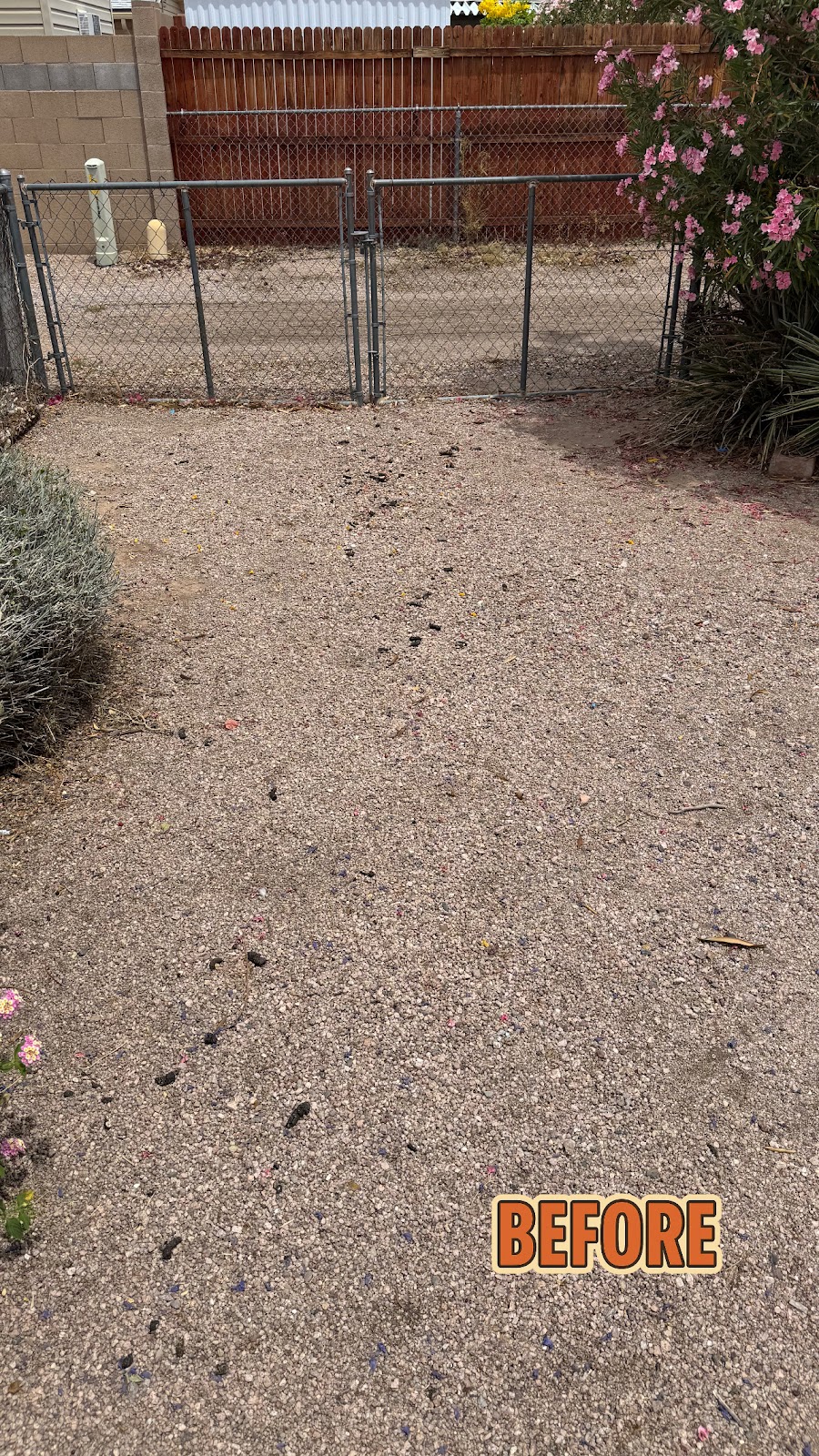 PoopProblems - Photo 4