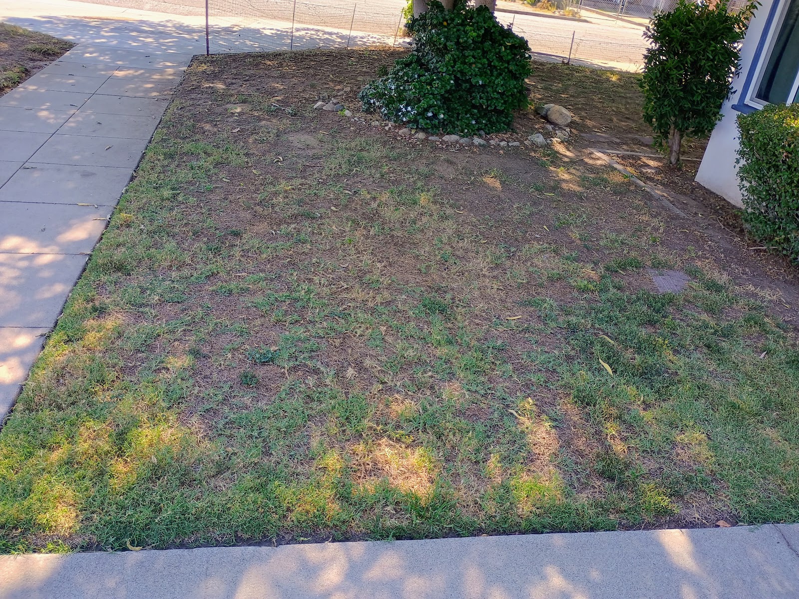 Pet waste removal by Old Head Wholesale LLC