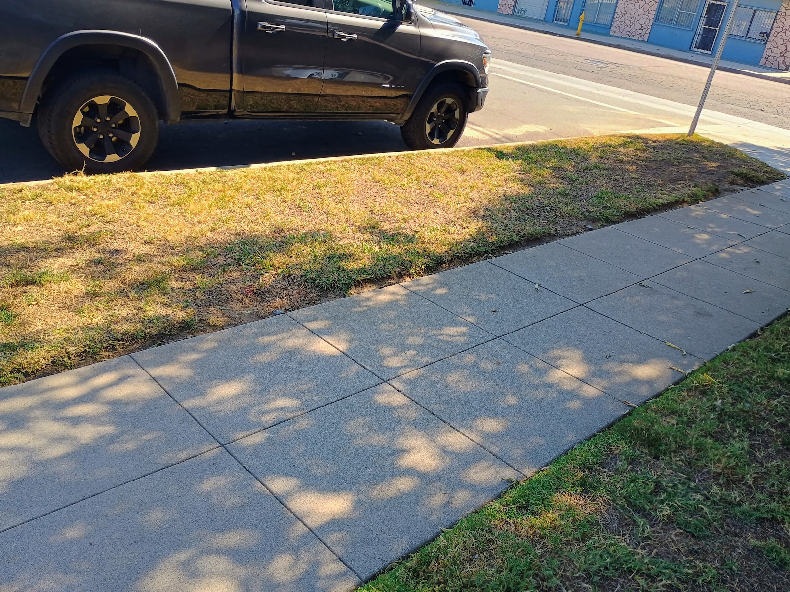 Pet waste removal by Old Head Wholesale LLC - Photo 2