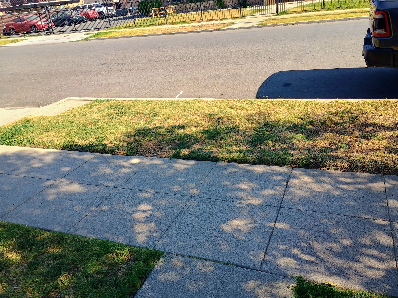 Pet waste removal by Old Head Wholesale LLC - Photo 3