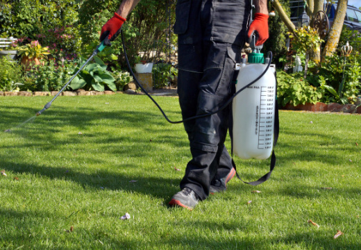 Uncle Knox Pet Waste Removal - Photo 3