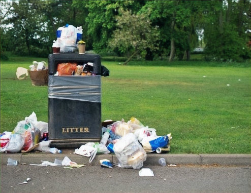 Uncle Knox Pet Waste Removal - Photo 4