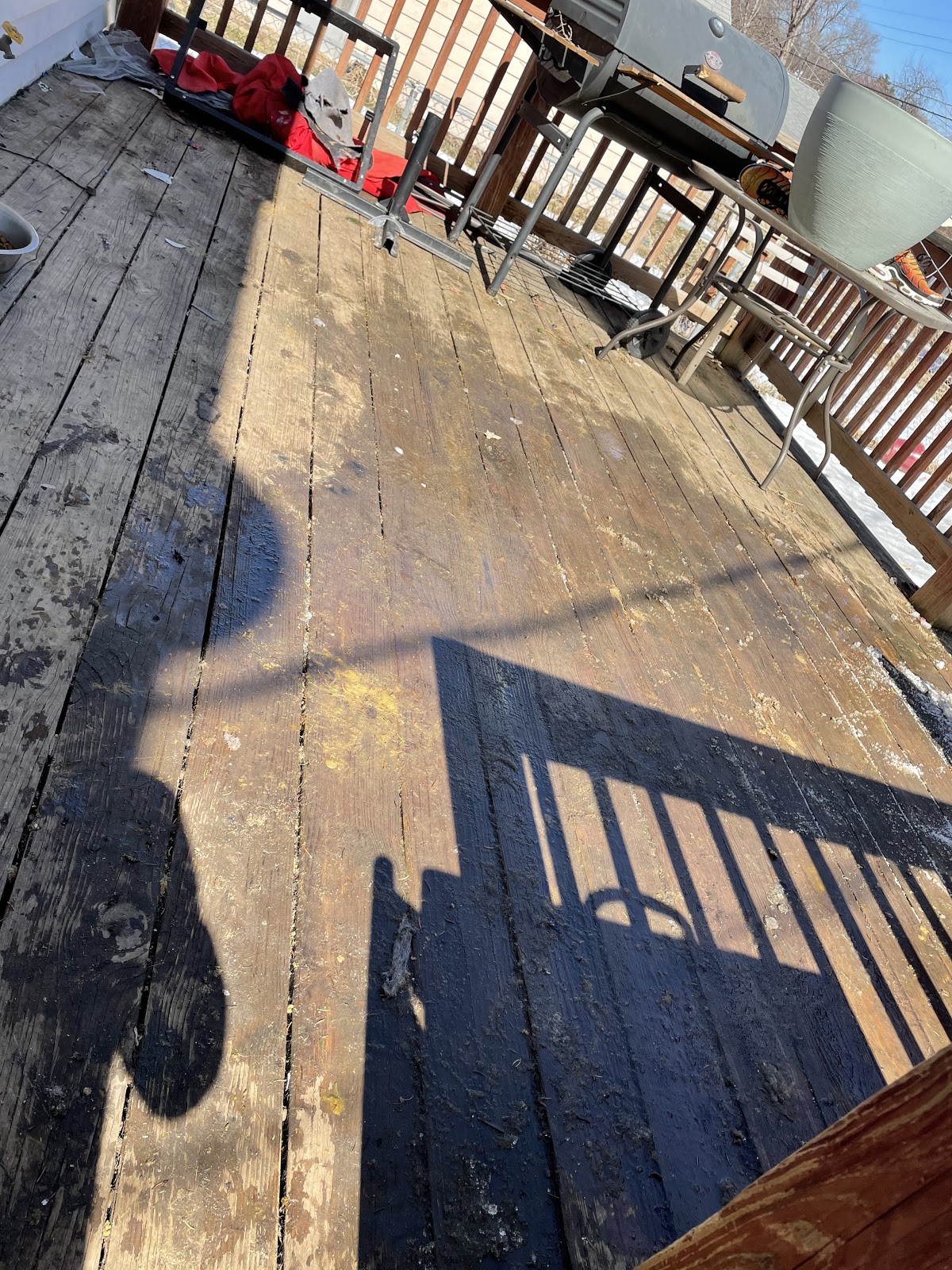 Lil Scoops - Photo 2