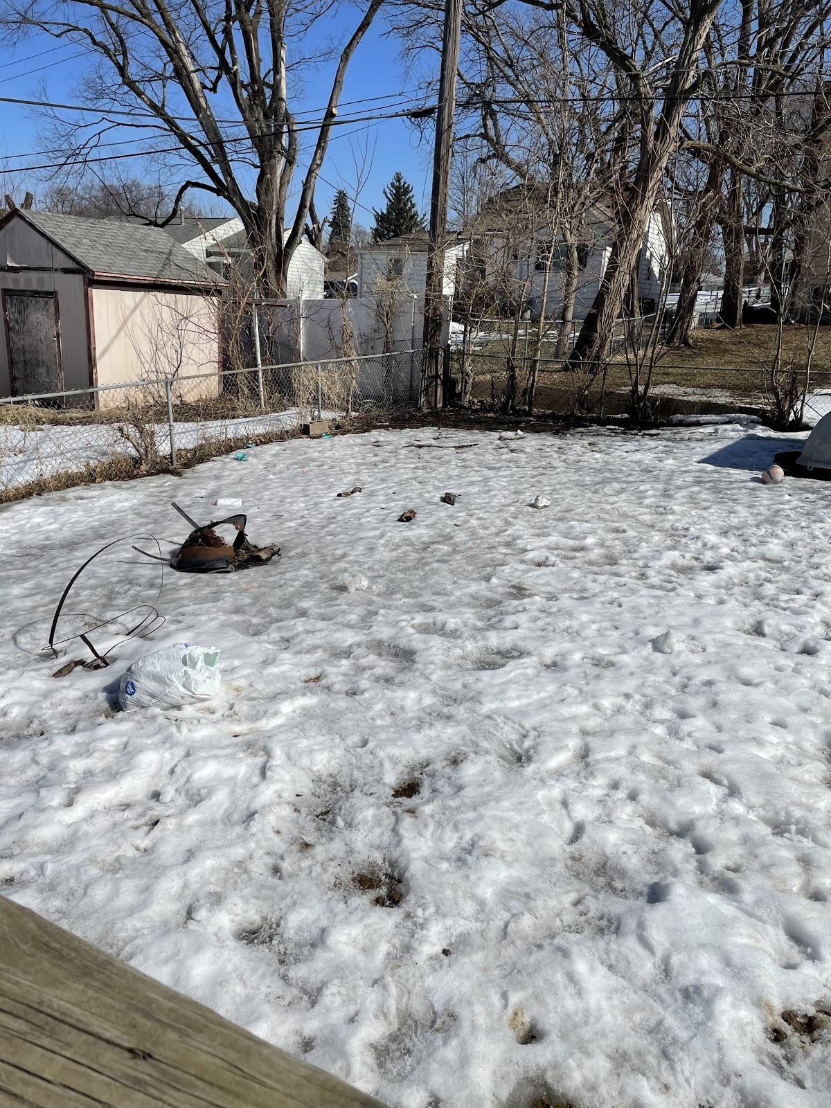 Lil Scoops - Photo 3