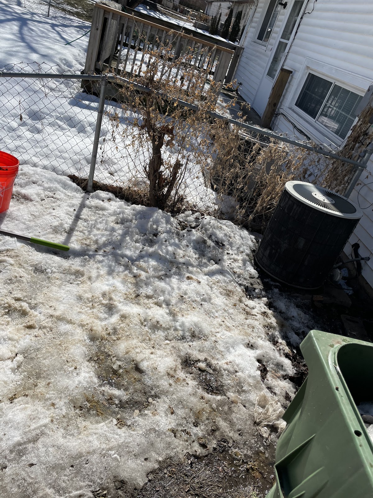 Lil Scoops - Photo 4