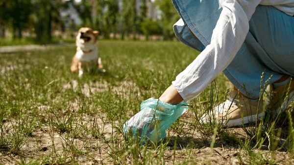 EcoPooch Dog Waste Removal