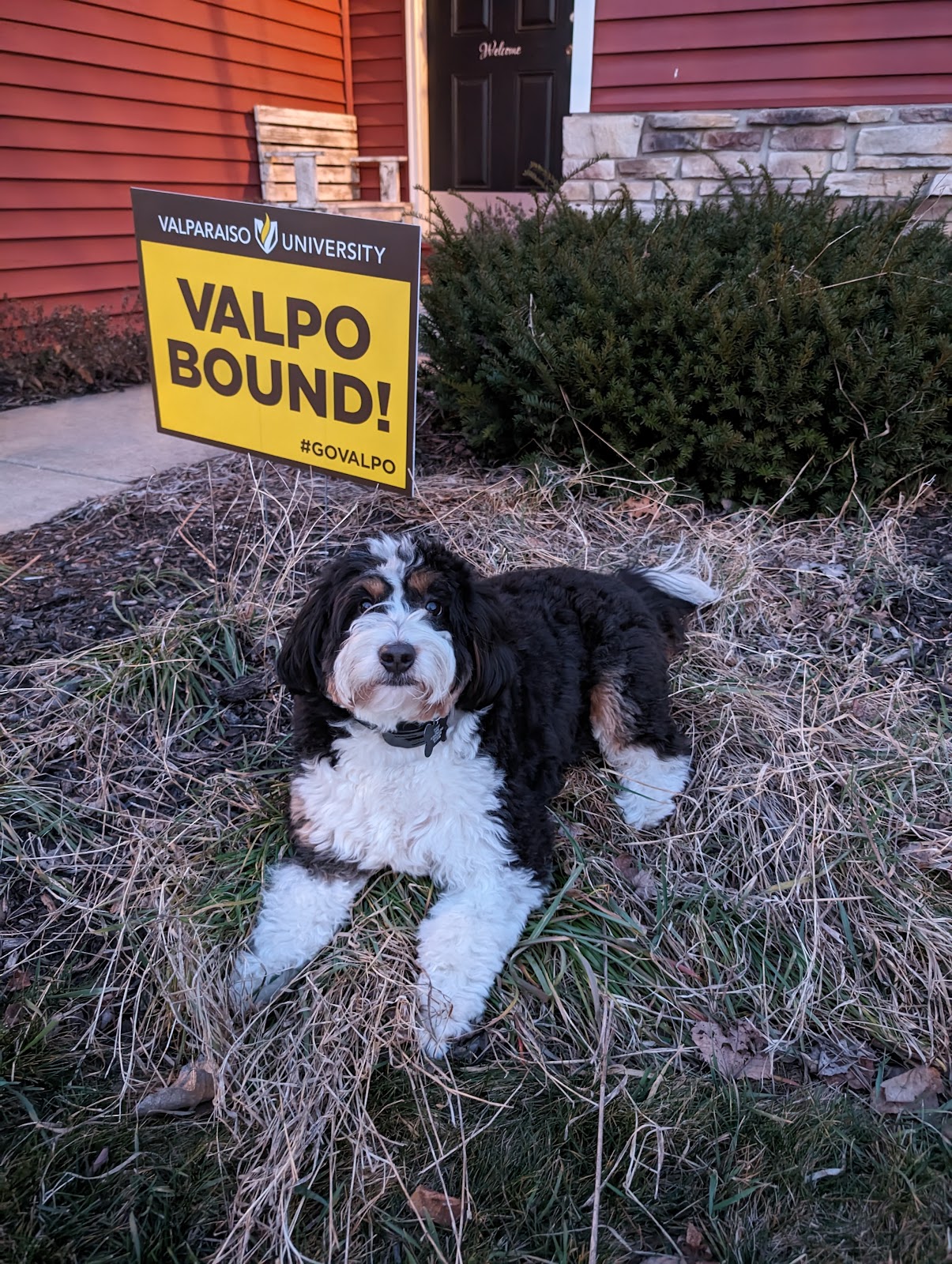 EcoPooch Dog Waste Removal - Photo 2