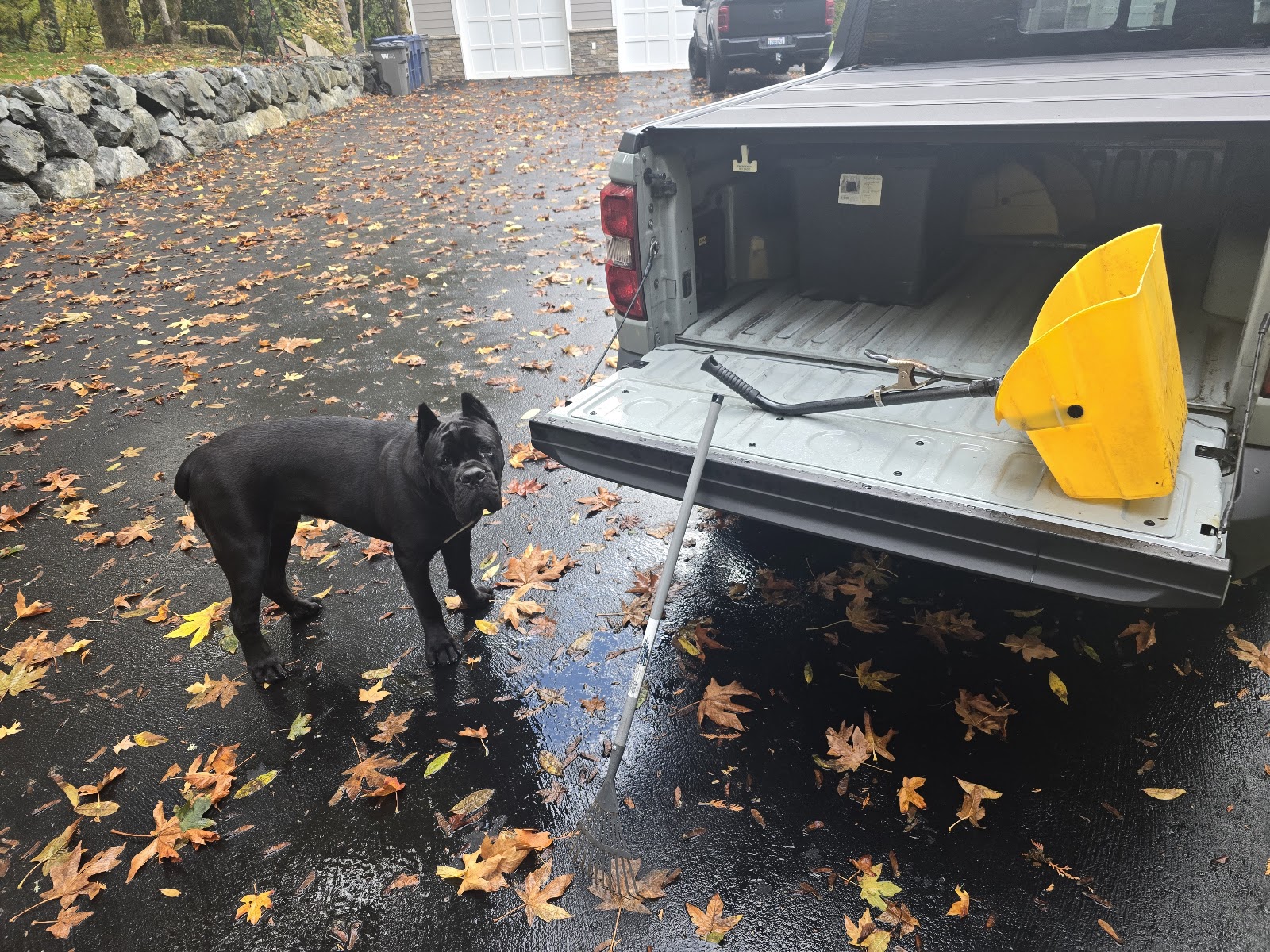 Hairy Houdini - Photo 4