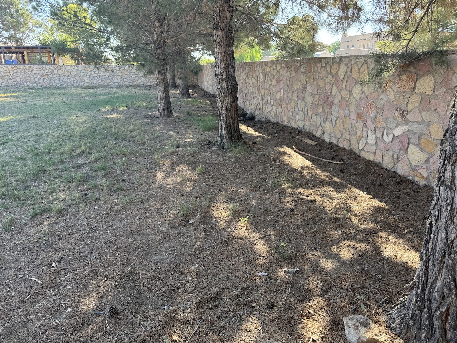 SuncityScoopers - Photo 4