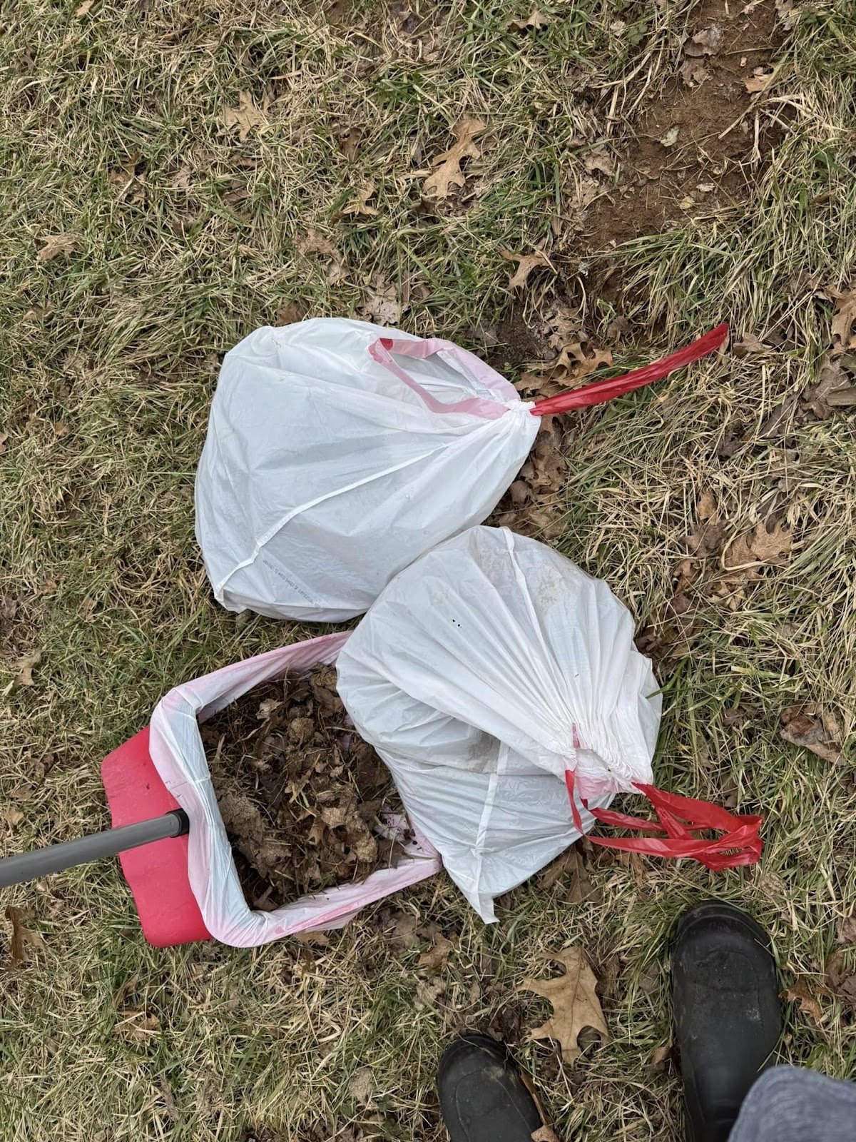 Poop Scoop Gone - Photo 4