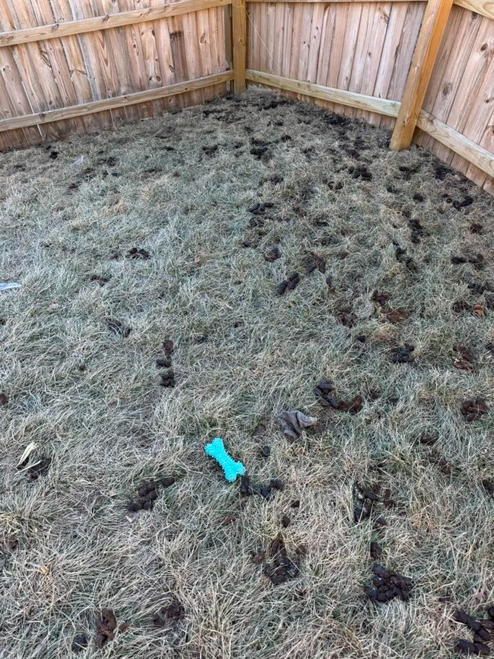 Poo Squad Wichita - Photo 2