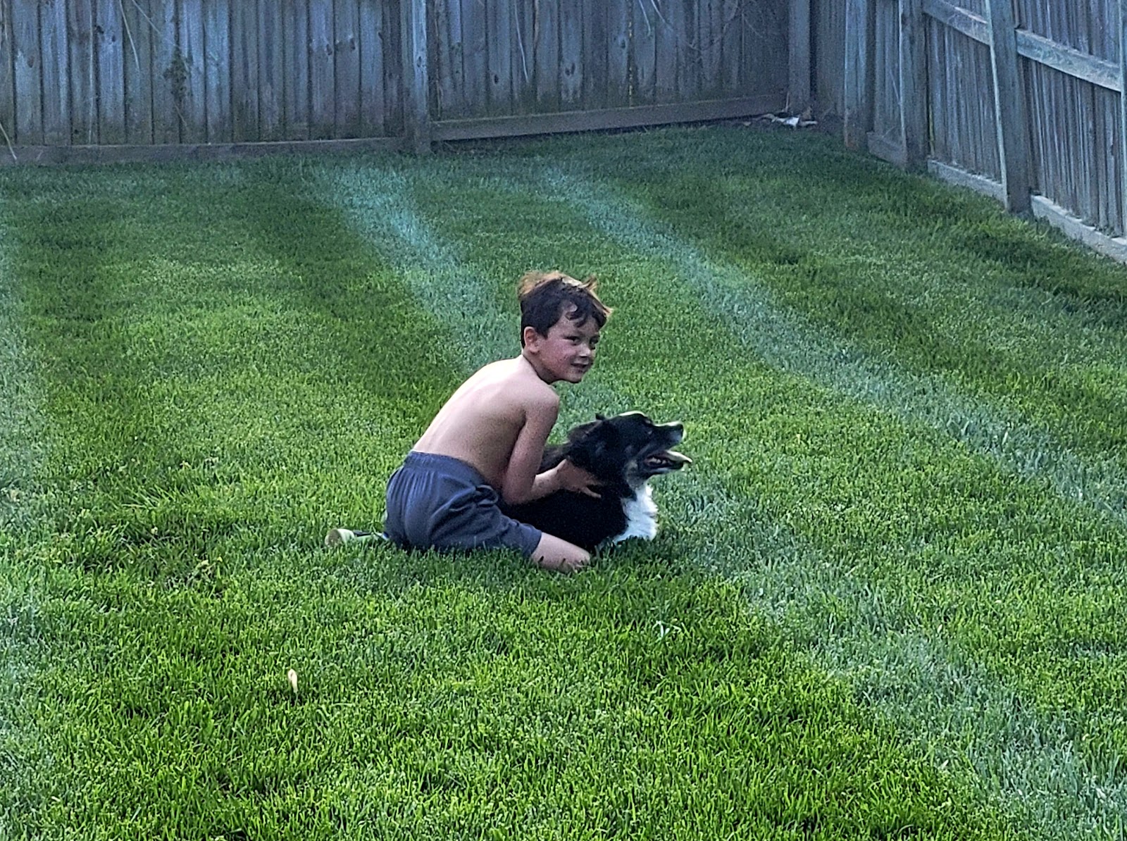 iScoop Pet Waste Company - Photo 3