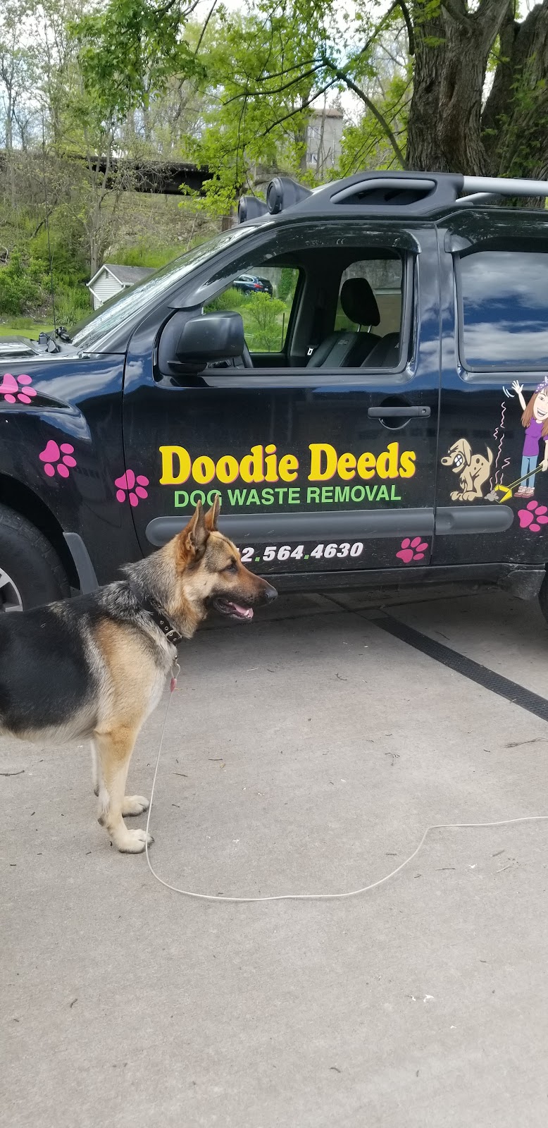 Doodie Deeds Dog Waste Removal