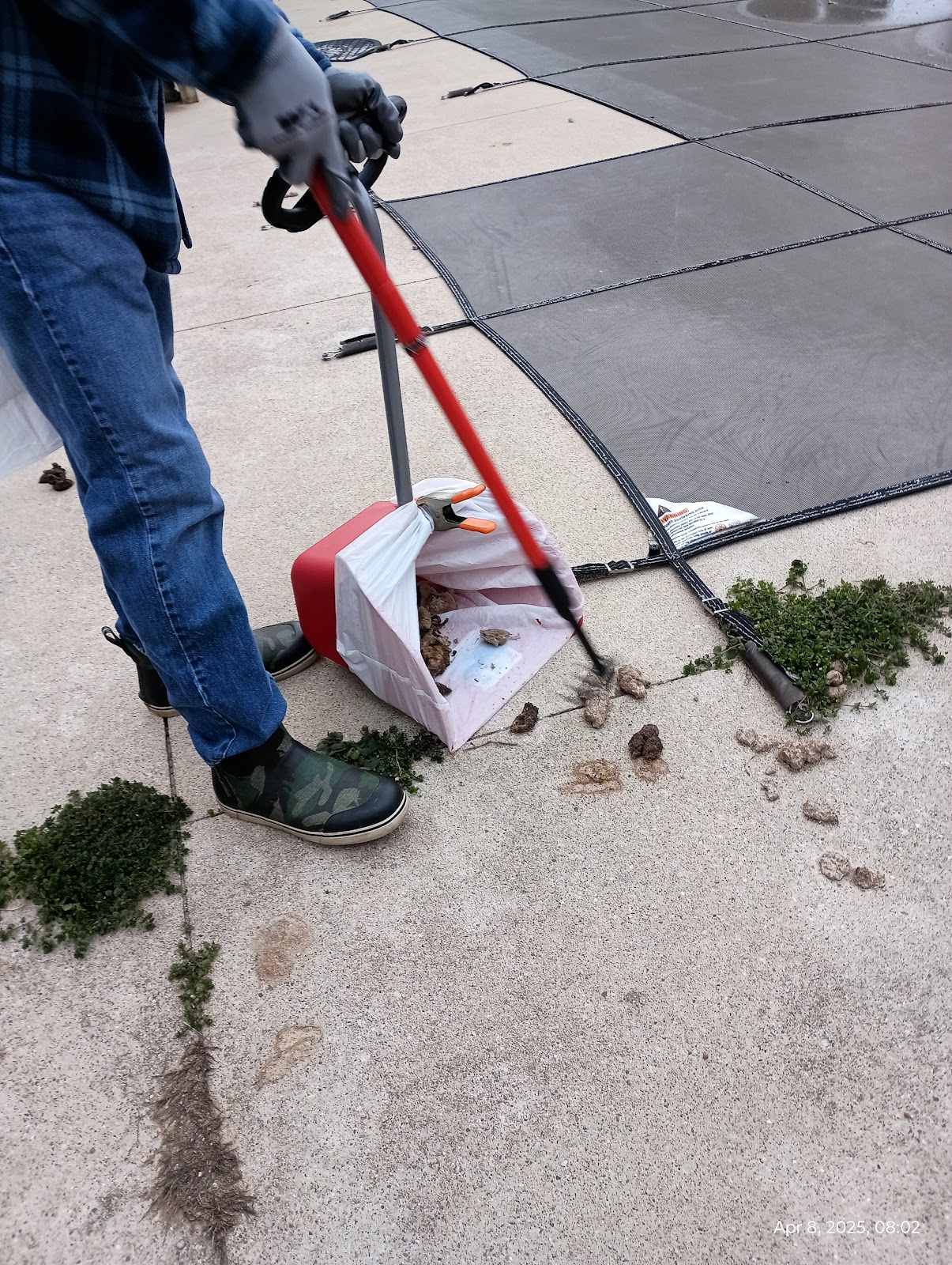 Mac Scoops - Photo 3