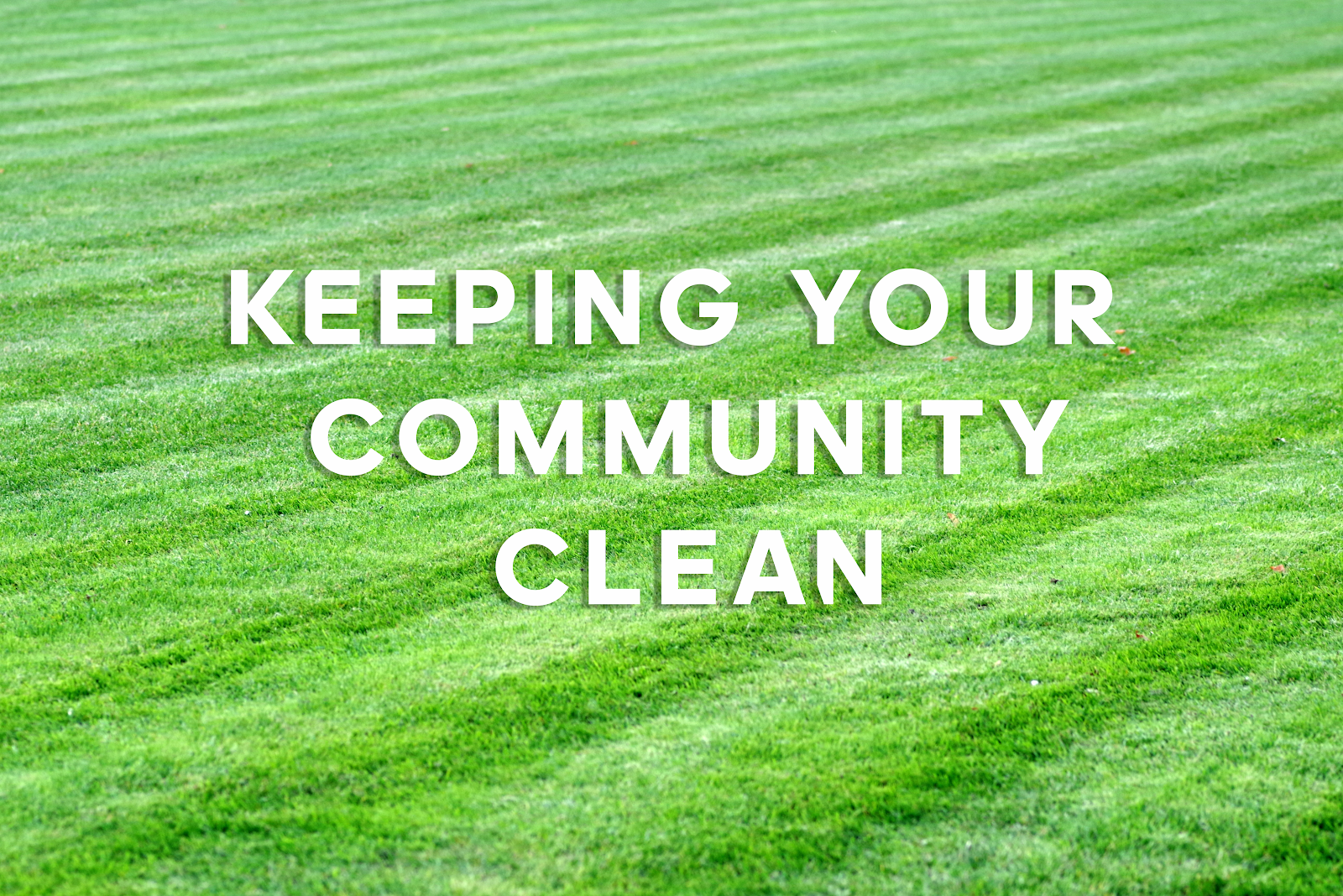 Community Pet Solutions