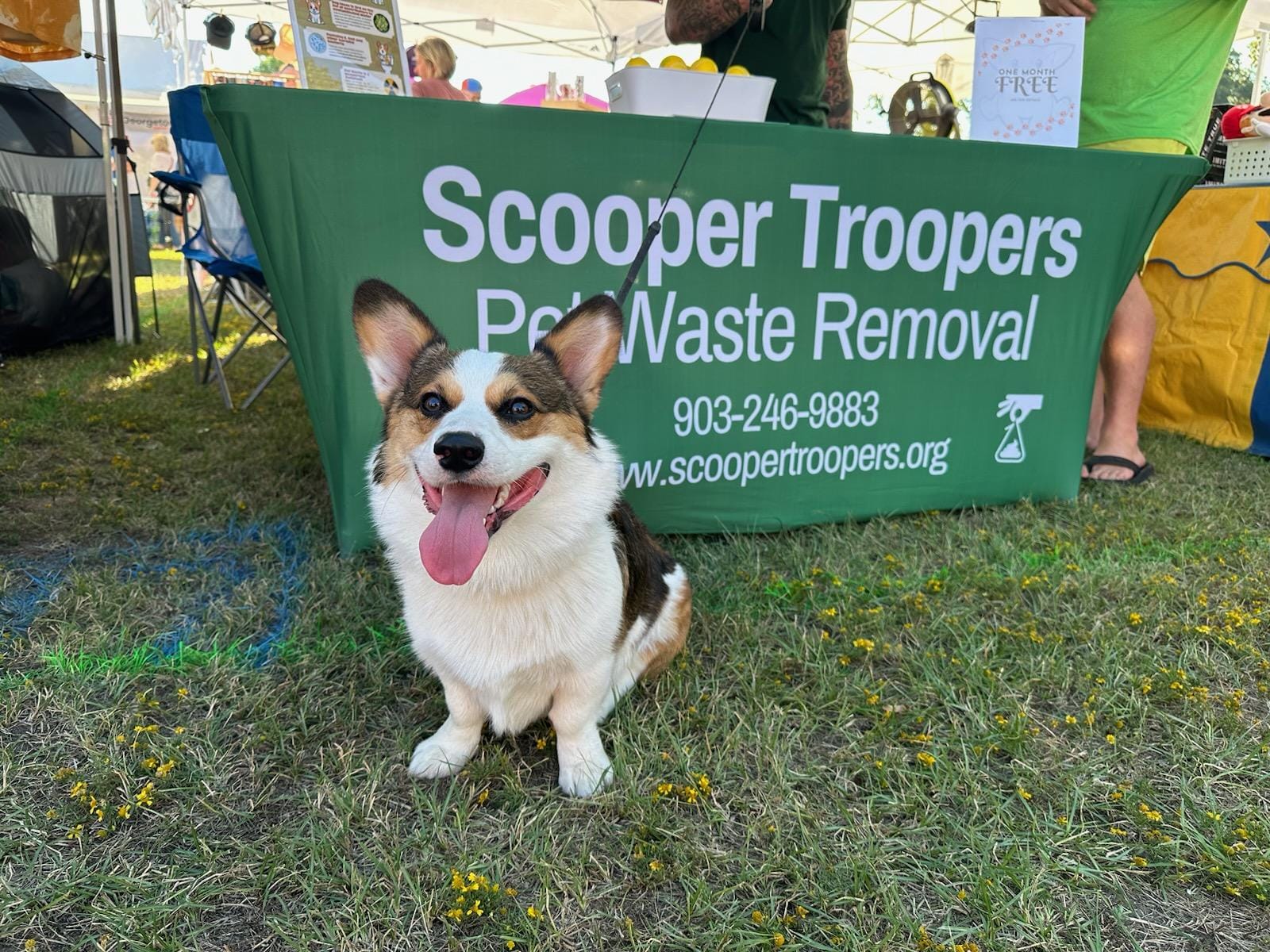 Scooper Troopers - Photo 3