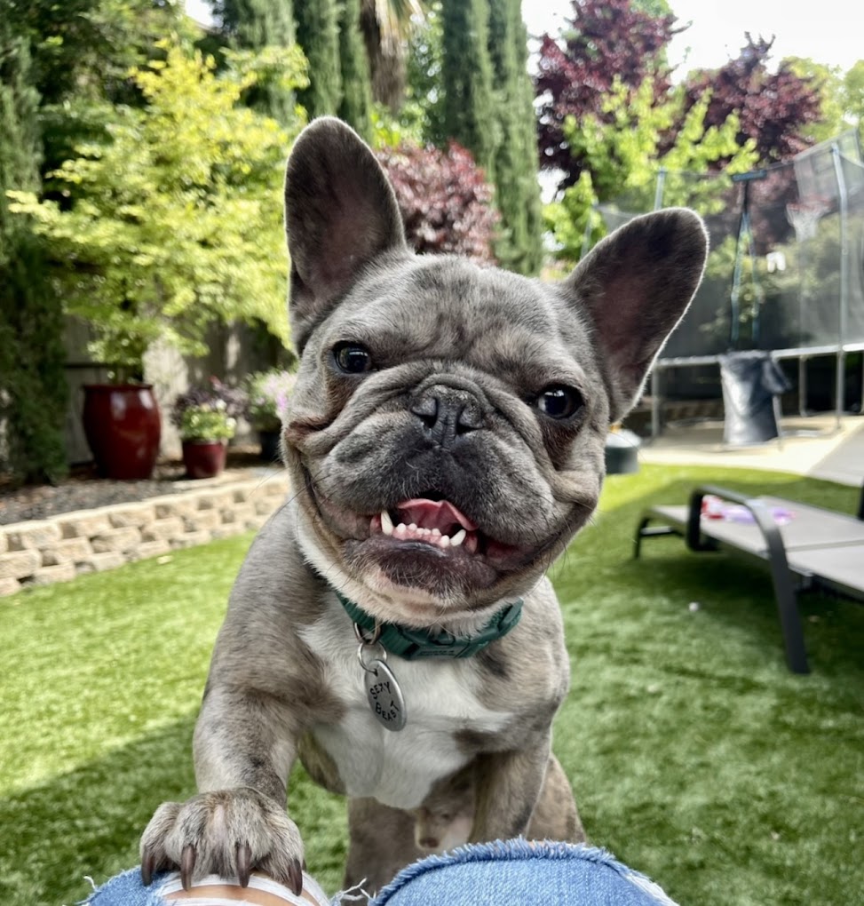 Doo Doo Squad - Photo 4