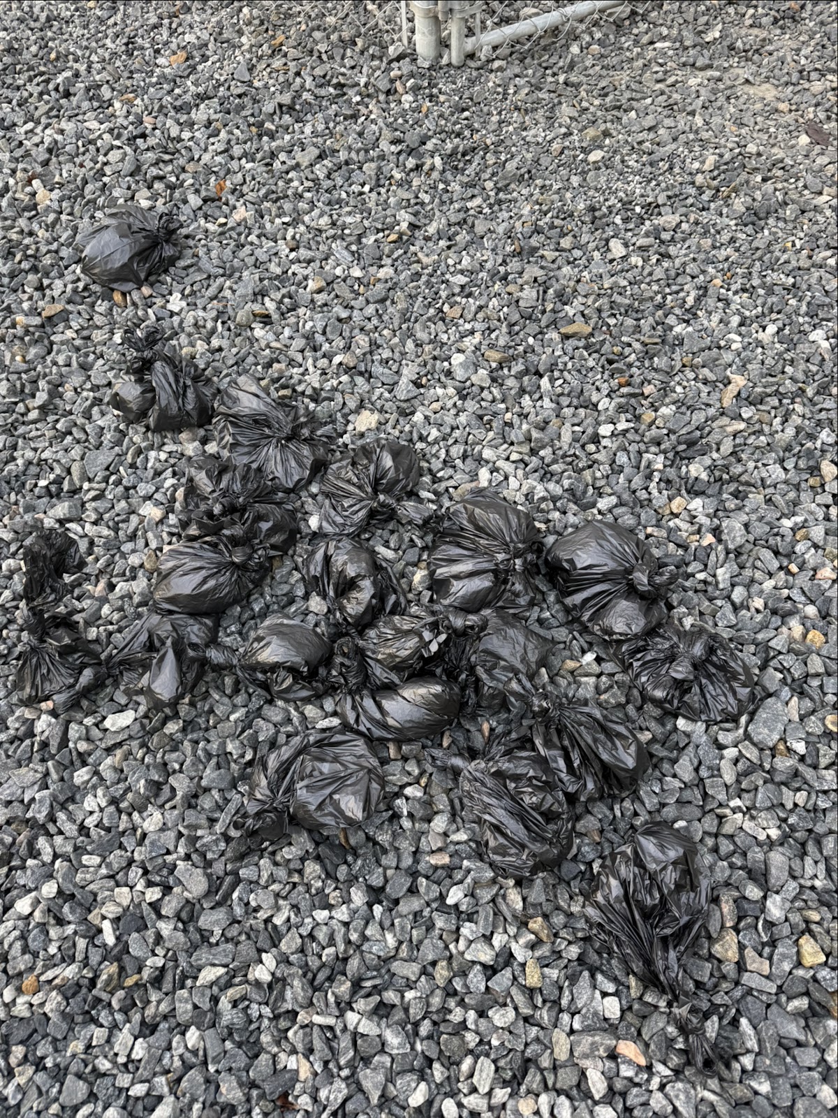 Plato Pet Waste Removal - Photo 2