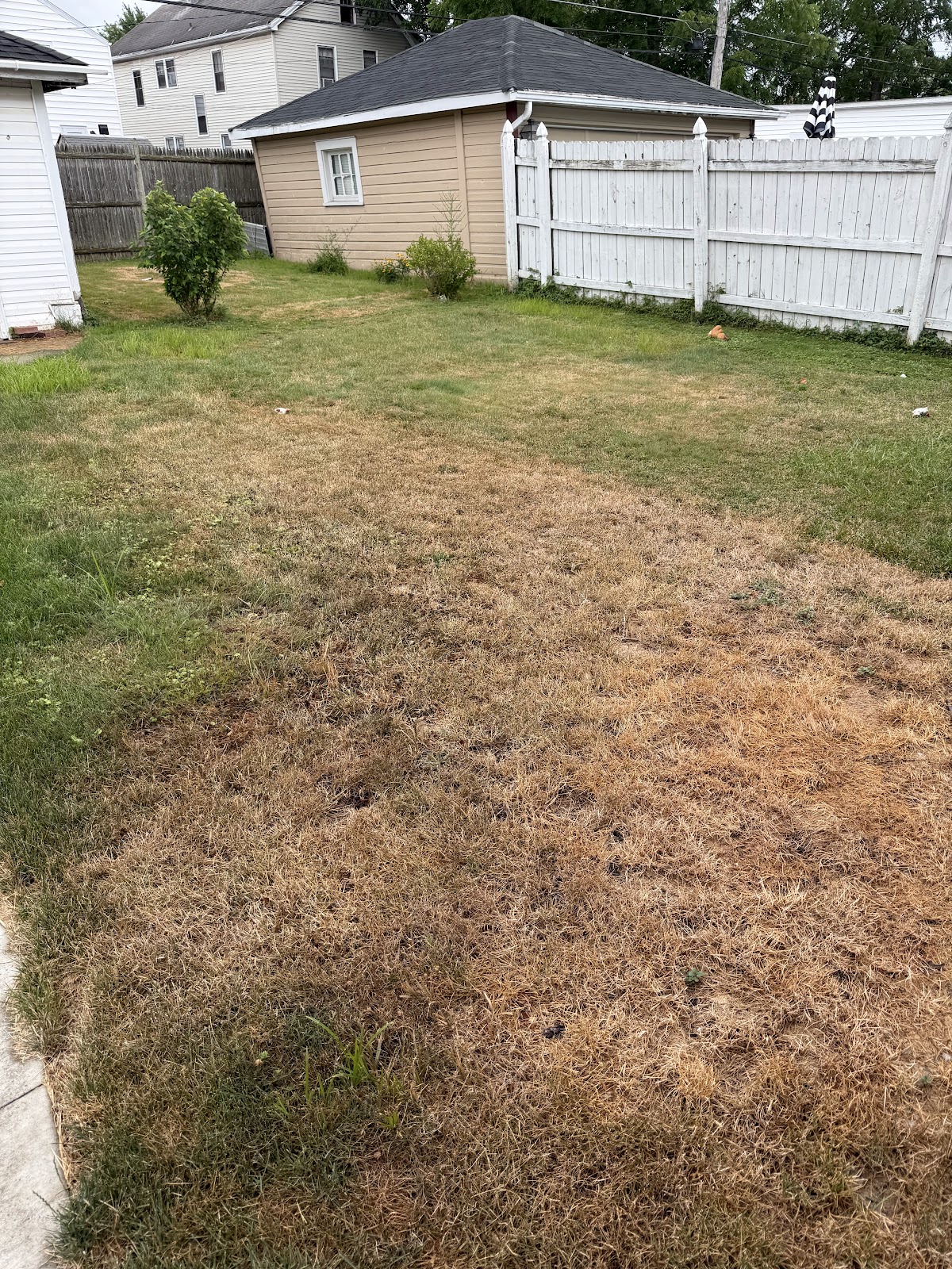 Scooper Troopers - Photo 2