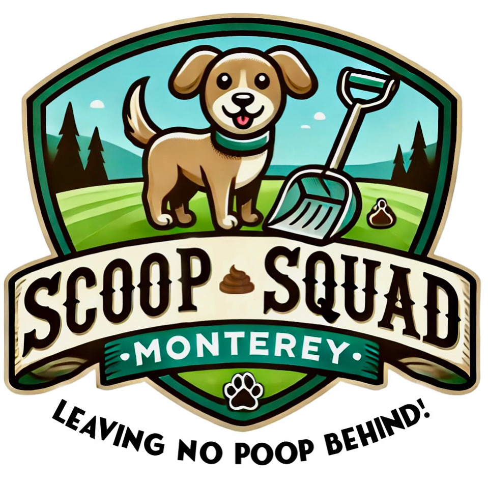 Scoop Squad Monterey