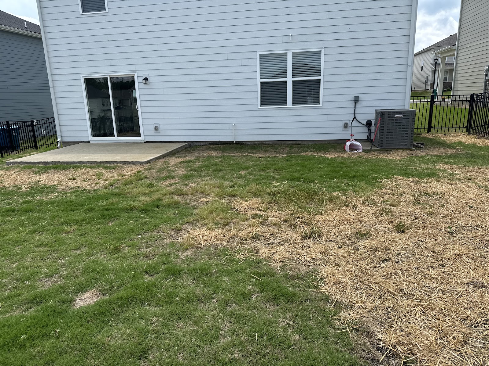 Clean Yard - Photo 3