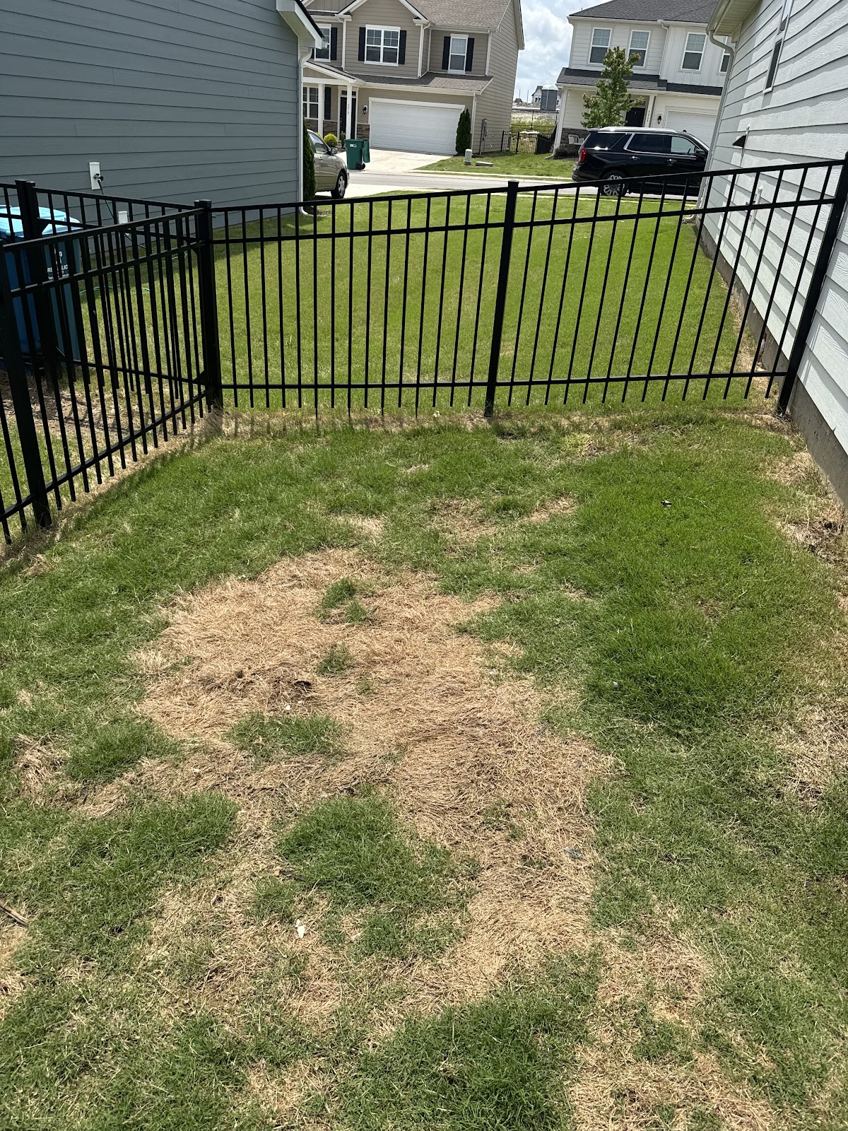 Clean Yard - Photo 4