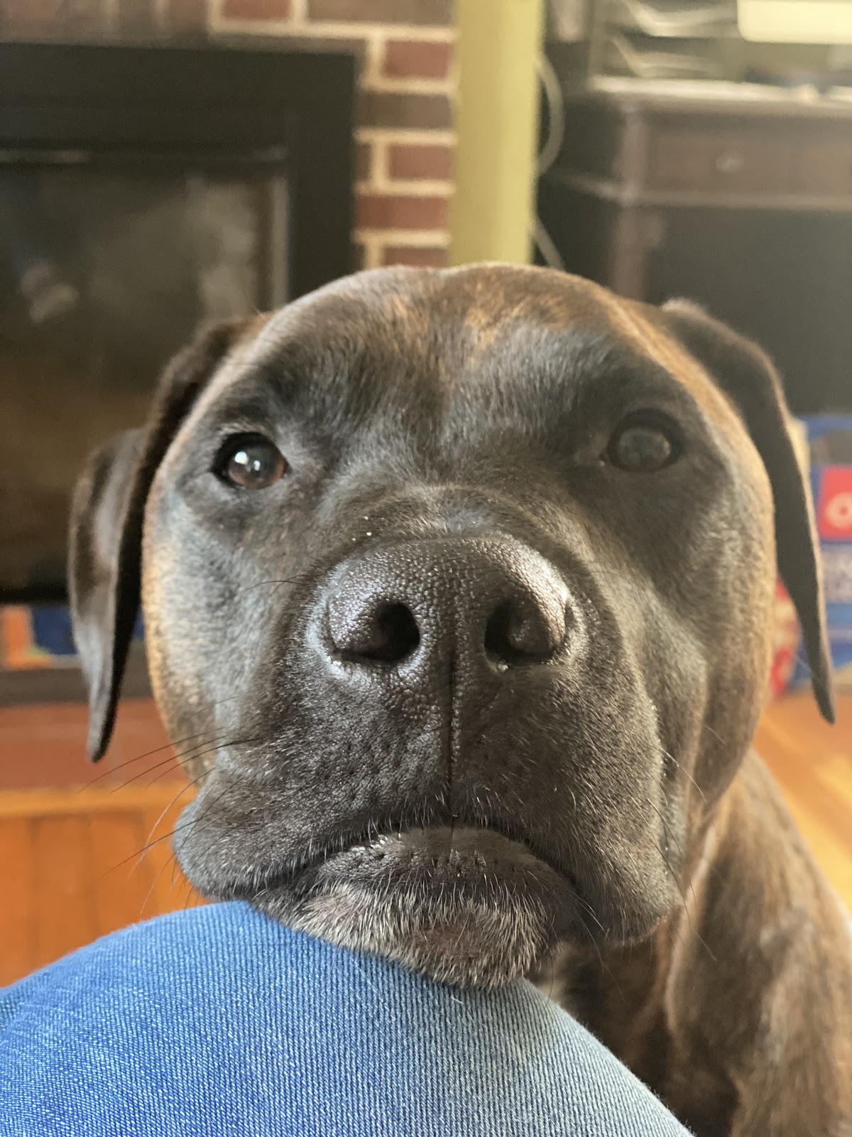 Poopsy Does It - Photo 3