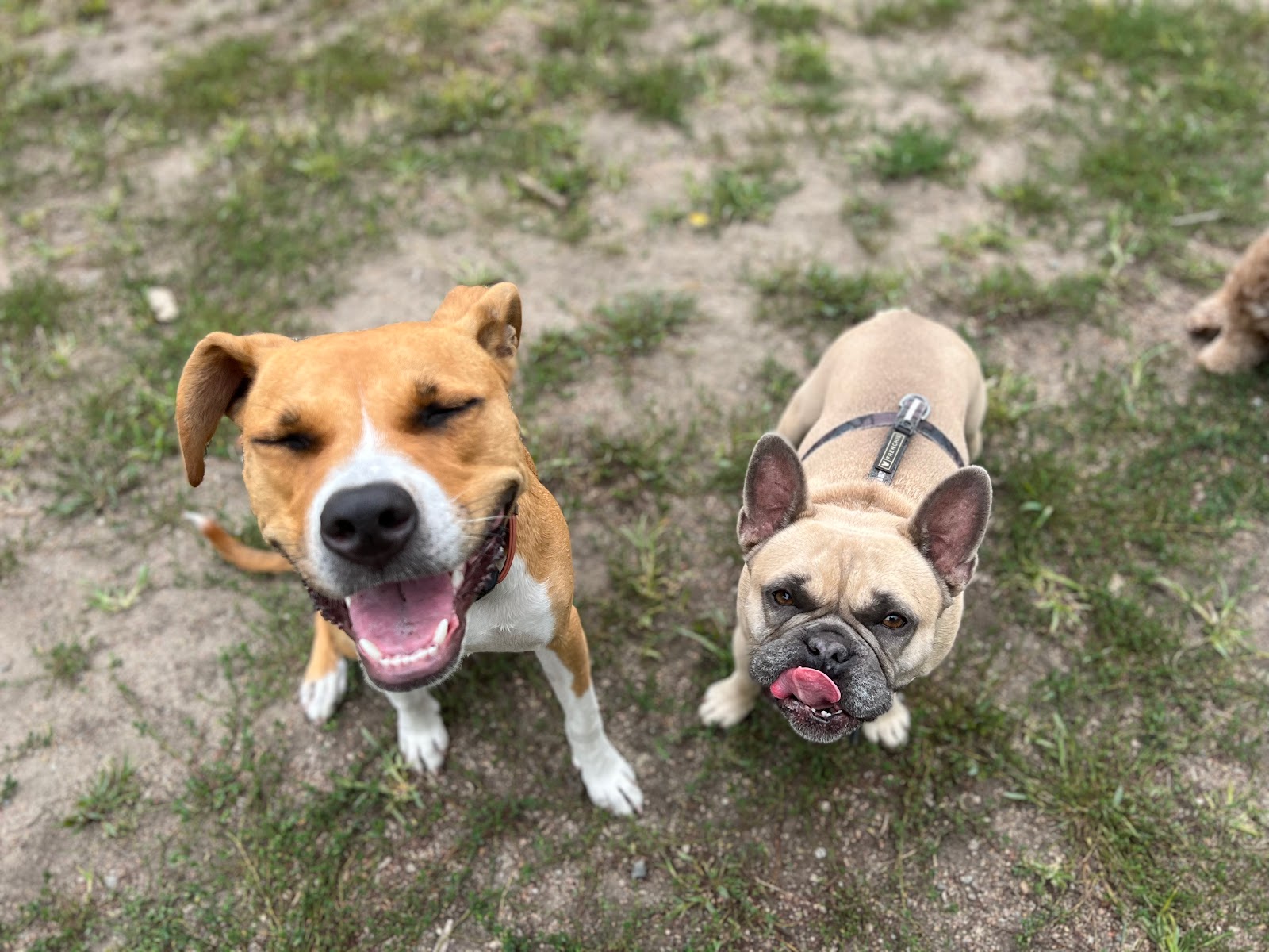 Poopsy Does It - Photo 4