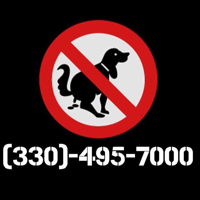 Pet Bomb Squad - Photo 4