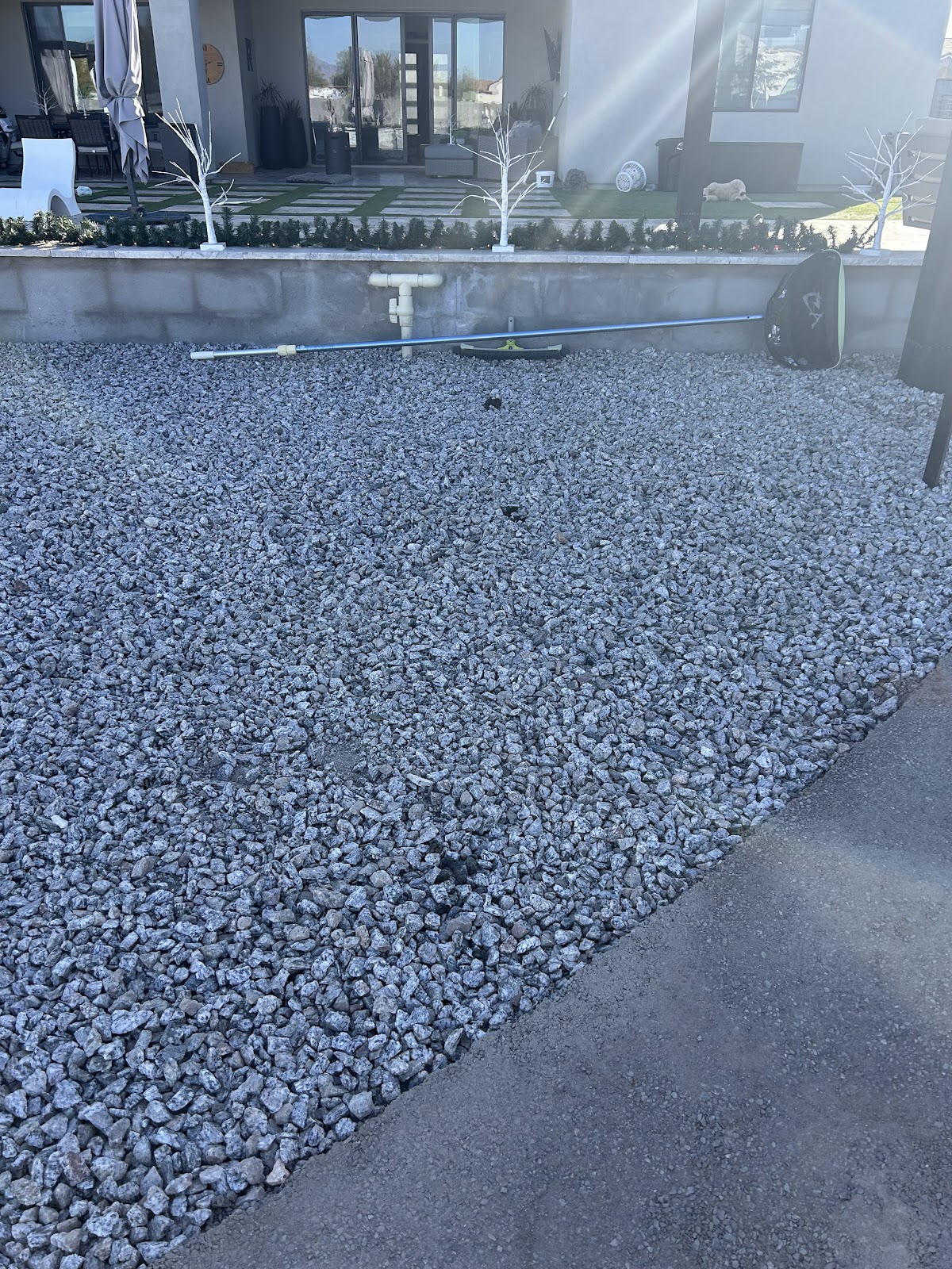 DOGGIE DOODIE SERVICES