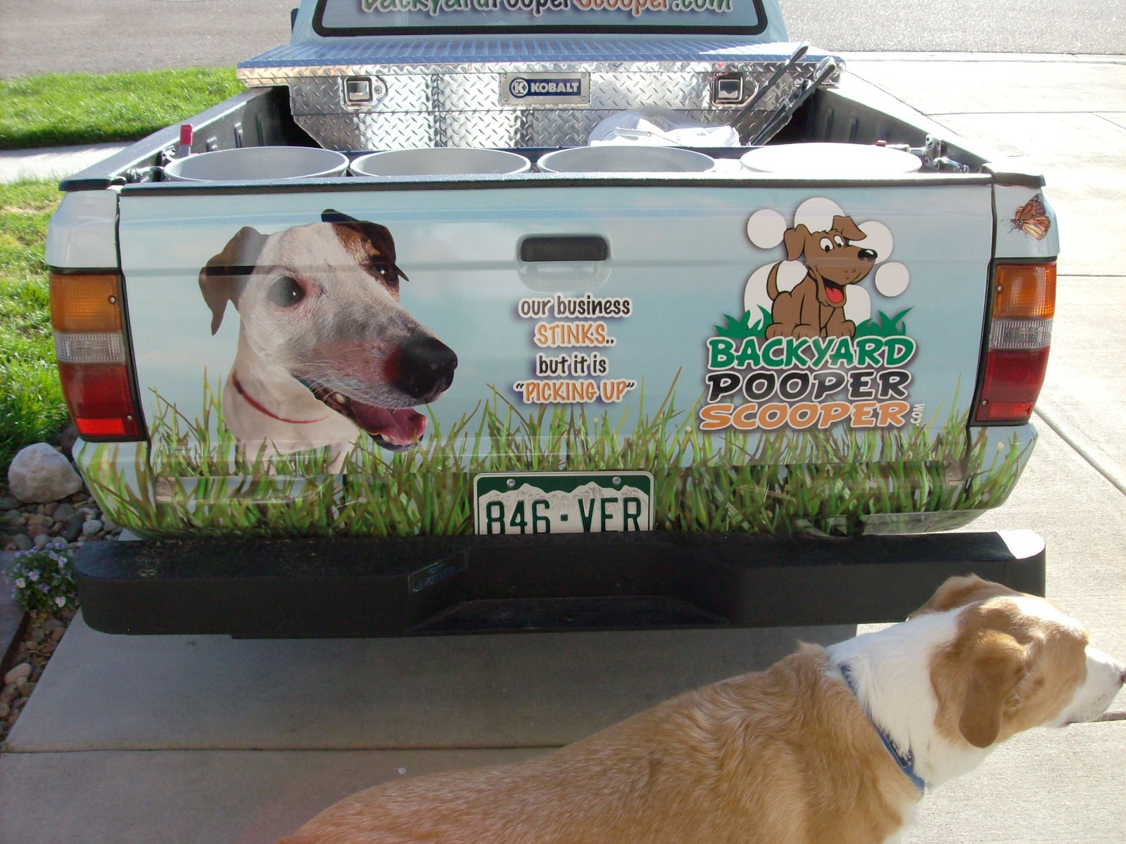 Backyard Pooper Scooper Of Colorado Springs - Photo 4