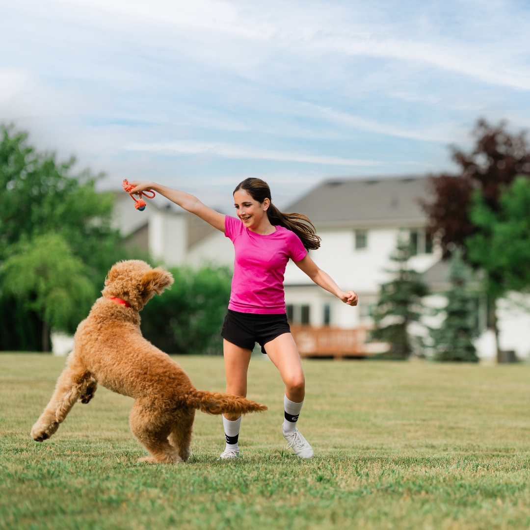 DoodyCalls of Northern VA - Photo 2