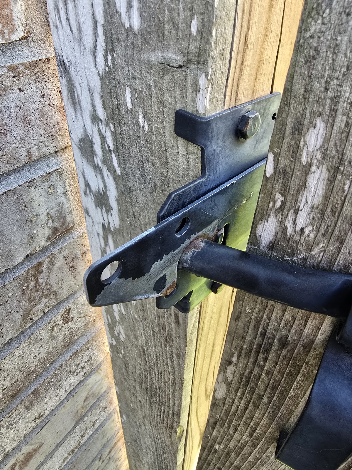 Poo Hero – Katy Pet Waste Removal - Photo 3