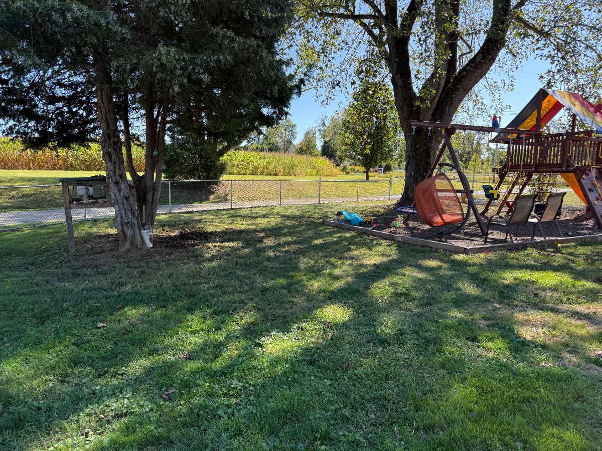 The Scoop Co. - Photo 4