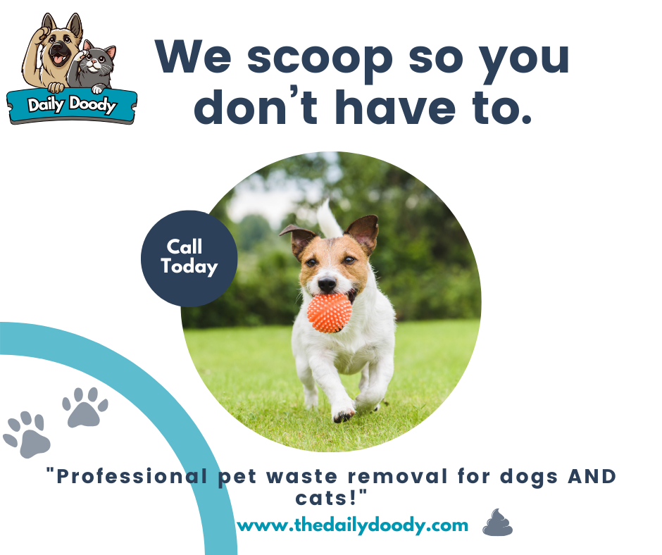 Daily Doody - Photo 2