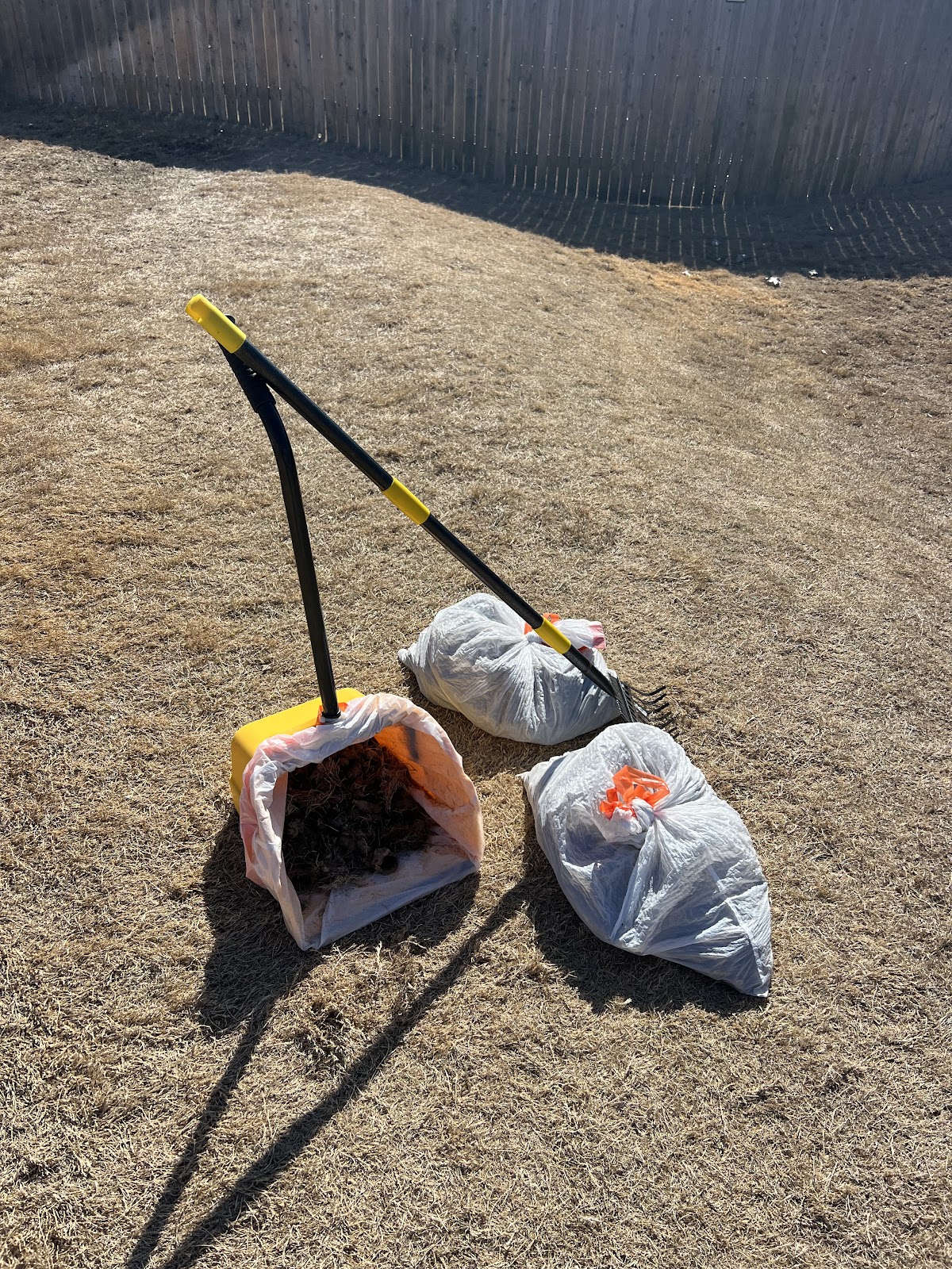 Red Rover Pooper Scoopers - Photo 2