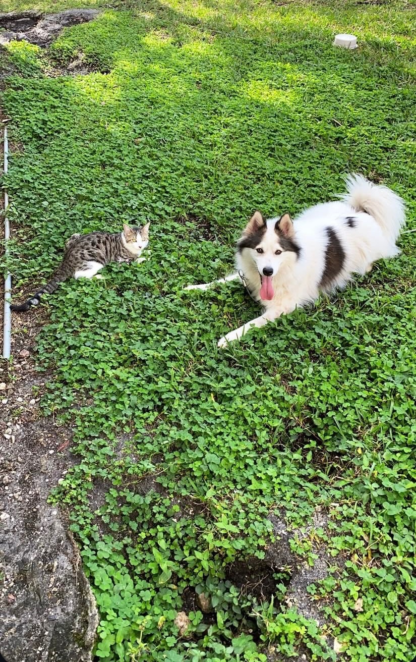 Astro Scoopers - Photo 2