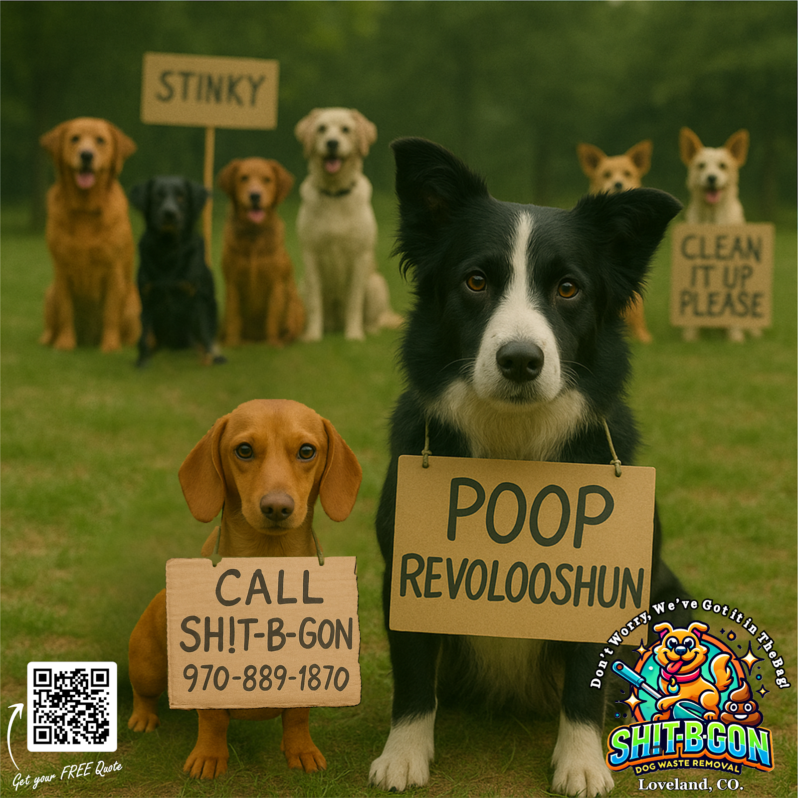SH!T-B-GON Dog waste removal - Photo 4