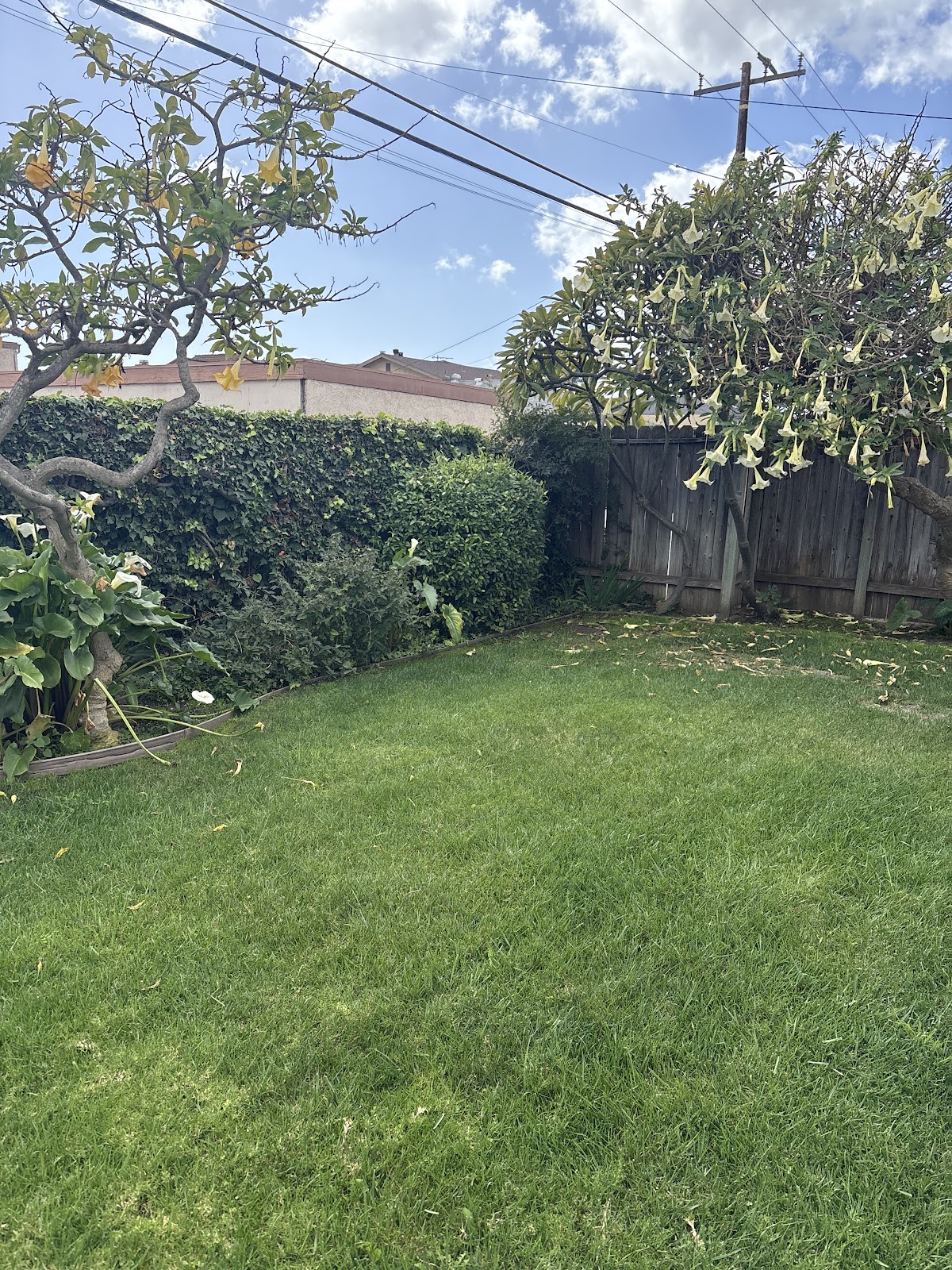 Oopsy Scoop - Photo 2