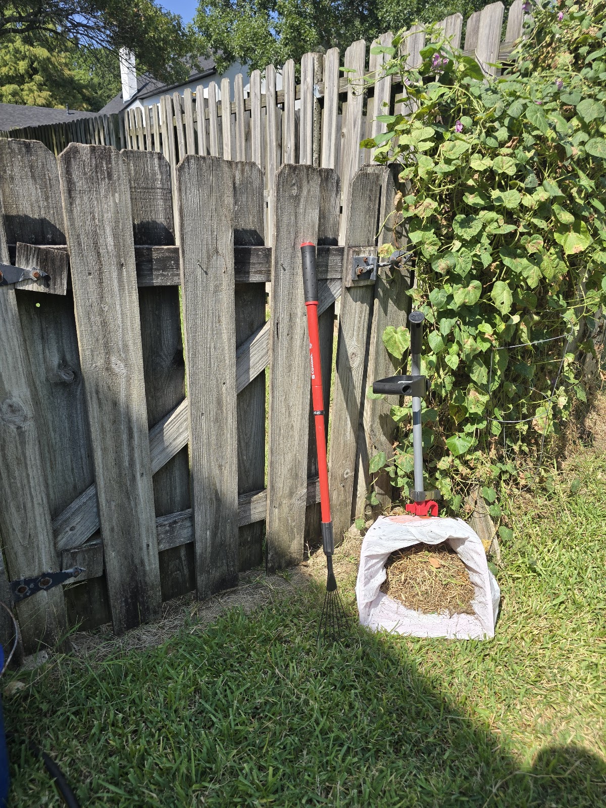 Simply Scoop - Photo 4