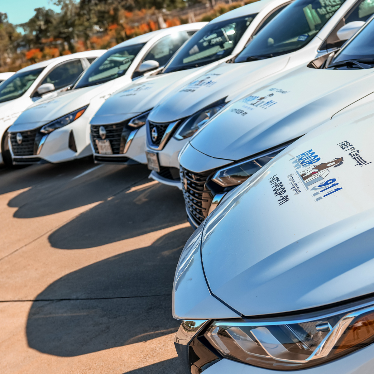 POOP 911 Grapevine - Photo 2