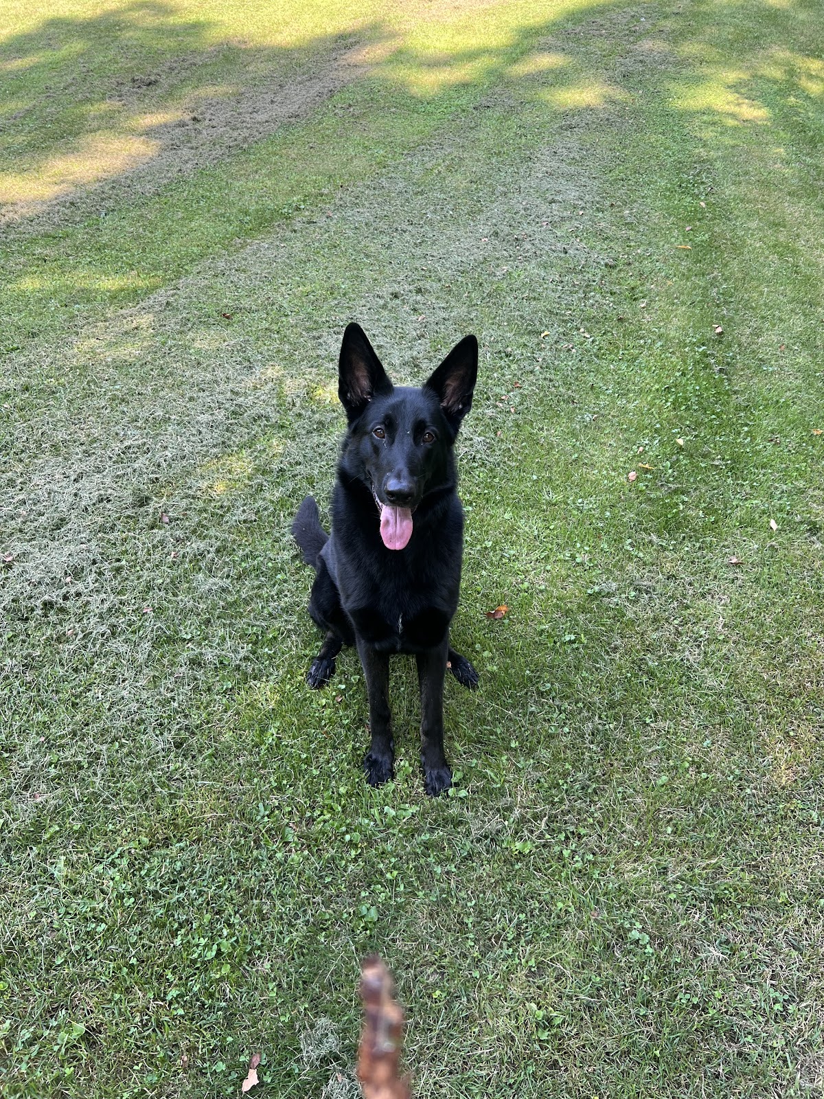 Pretzel City Pooper Scoopers - Photo 2