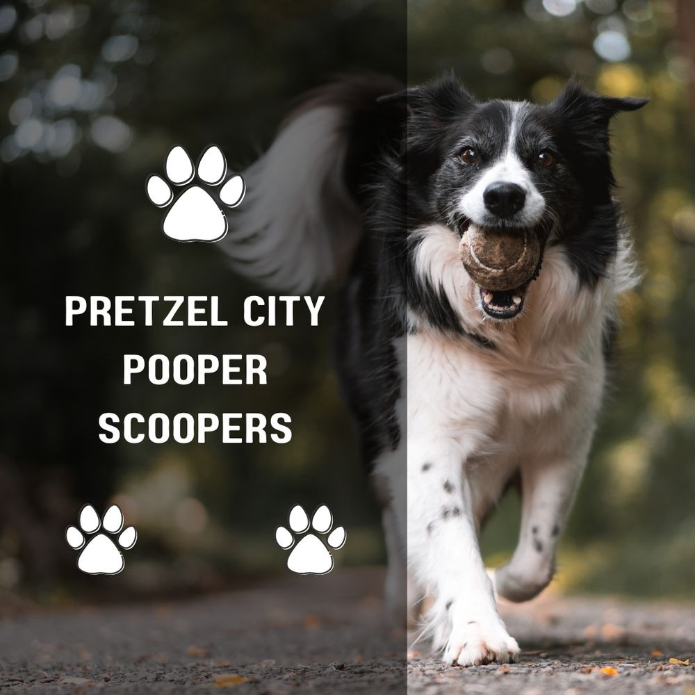 Pretzel City Pooper Scoopers - Photo 4